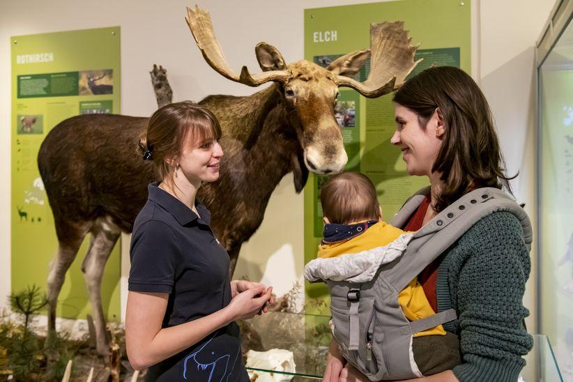 Mutter mit Baby erfährt von der Museumspädagogin Spannendes über den Elch 